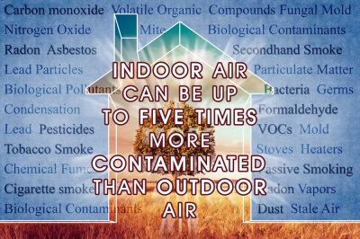 Assess Air Quality!